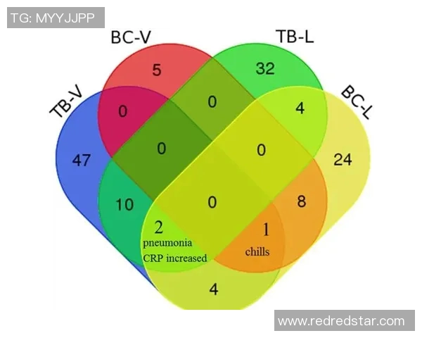 深入探讨上海篮球队战术表现的数据分析与策略优化研究