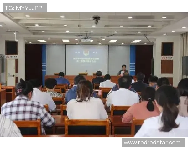 深圳羽毛球队实力深度解析与其他城市队伍的对比分析