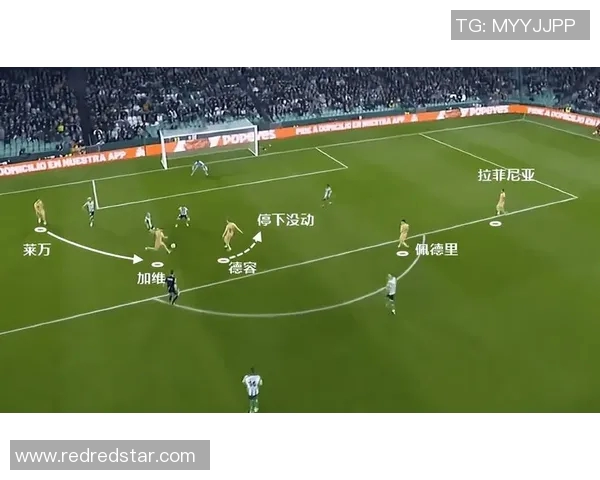 南京极限运动队力量对比深度解析与战术优势探讨 南京极限运动队力量对比深度解析与战术优势探讨