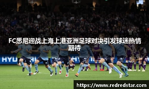 FC悉尼迎战上海上港亚洲足球对决引发球迷热情期待