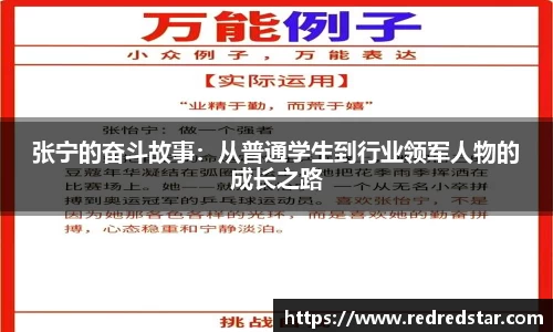 张宁的奋斗故事：从普通学生到行业领军人物的成长之路