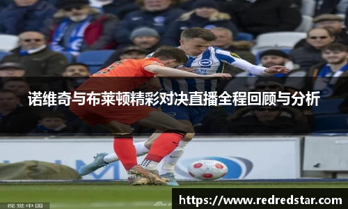 诺维奇与布莱顿精彩对决直播全程回顾与分析