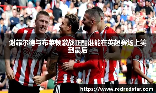 谢菲尔德与布莱顿激战正酣谁能在英超赛场上笑到最后